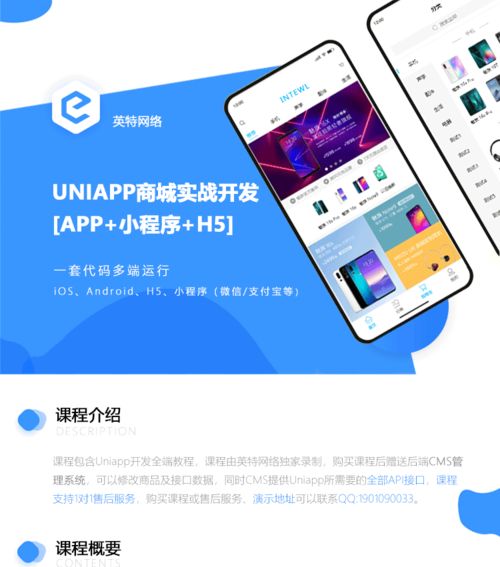 視頻教程 uniapp實(shí)戰(zhàn)開發(fā)商城app和小程序 vue